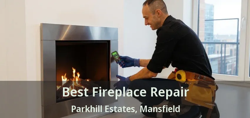 Best Fireplace Repair Parkhill Estates, Mansfield - TX