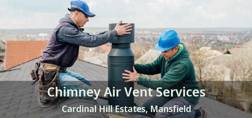Chimney Air Vent Services Cardinal Hill Estates, Mansfield - TX