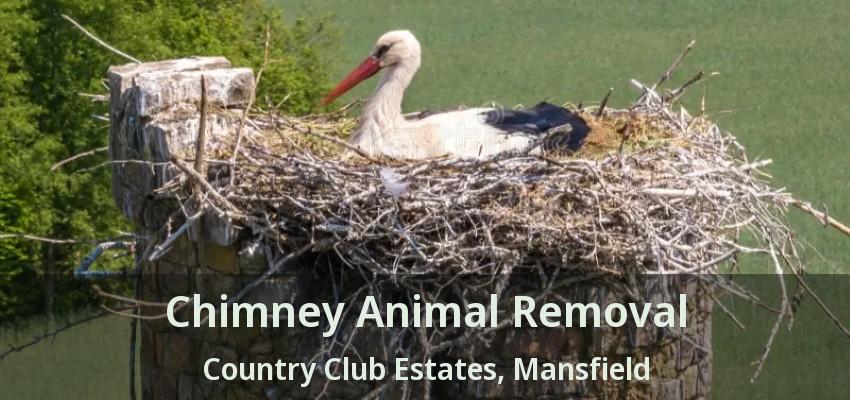 Chimney Animal Removal Country Club Estates, Mansfield - TX