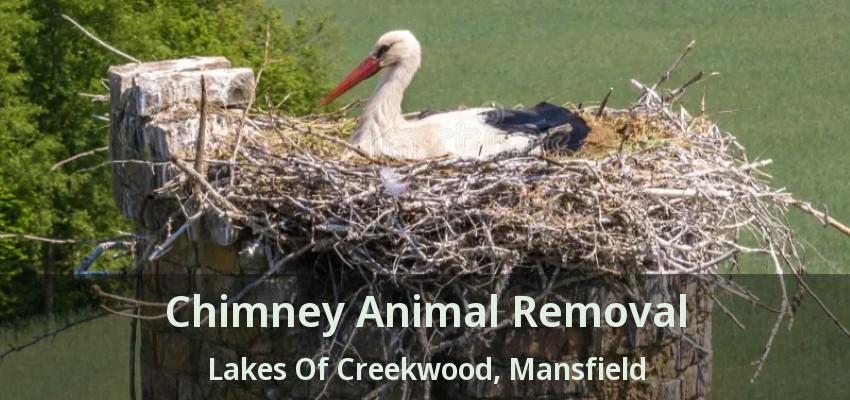 Chimney Animal Removal Lakes Of Creekwood, Mansfield - TX
