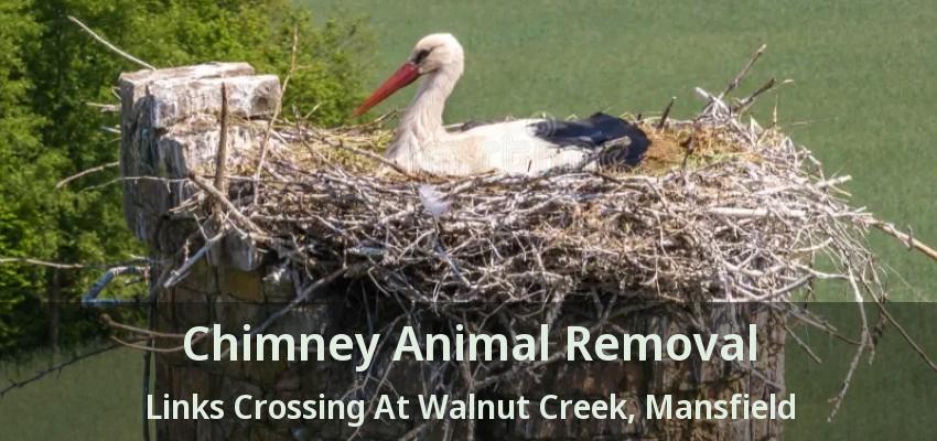 Chimney Animal Removal Links Crossing At Walnut Creek, Mansfield - TX