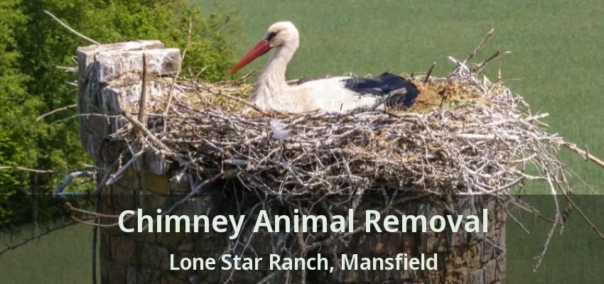 Chimney Animal Removal Lone Star Ranch, Mansfield - TX