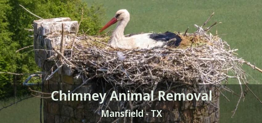 Chimney Animal Removal Mansfield - TX