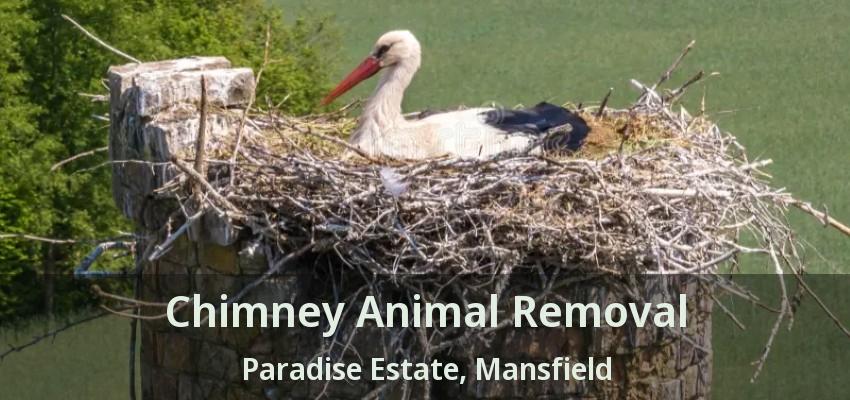 Chimney Animal Removal Paradise Estate, Mansfield - TX