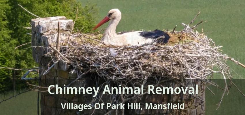Chimney Animal Removal Villages Of Park Hill, Mansfield - TX