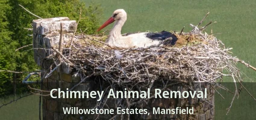 Chimney Animal Removal Willowstone Estates, Mansfield - TX