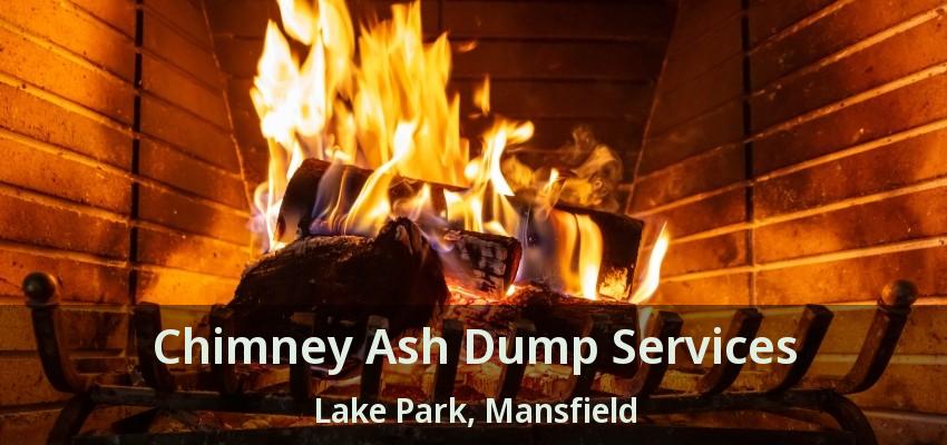Chimney Ash Dump Services Lake Park, Mansfield - TX