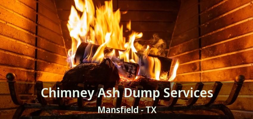 Chimney Ash Dump Services Mansfield - TX