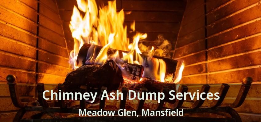 Chimney Ash Dump Services Meadow Glen, Mansfield - TX