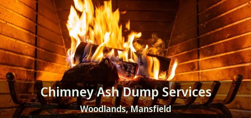 Chimney Ash Dump Services Woodlands, Mansfield - TX