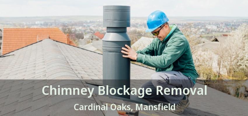 Chimney Blockage Removal Cardinal Oaks, Mansfield - TX