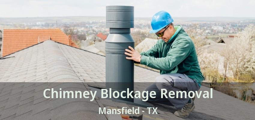 Chimney Blockage Removal Mansfield - TX