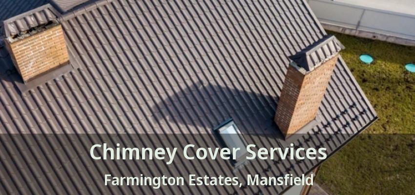 Chimney Cover Services Farmington Estates, Mansfield - TX