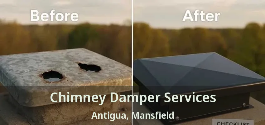 Chimney Damper Services Antigua, Mansfield - TX