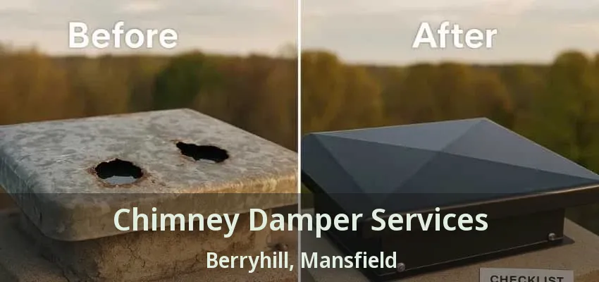 Chimney Damper Services Berryhill, Mansfield - TX