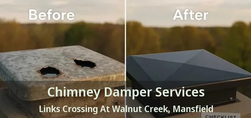 Chimney Damper Services Links Crossing At Walnut Creek, Mansfield - TX