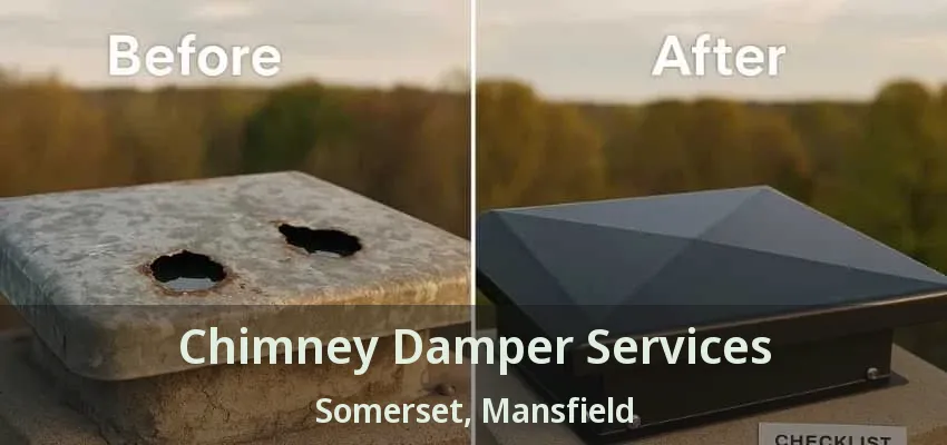 Chimney Damper Services Somerset, Mansfield - TX