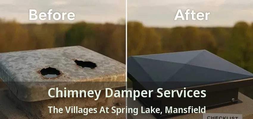 Chimney Damper Services The Villages At Spring Lake, Mansfield - TX