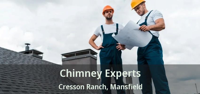 Chimney Experts Cresson Ranch, Mansfield - TX