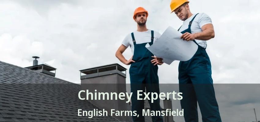 Chimney Experts English Farms, Mansfield - TX