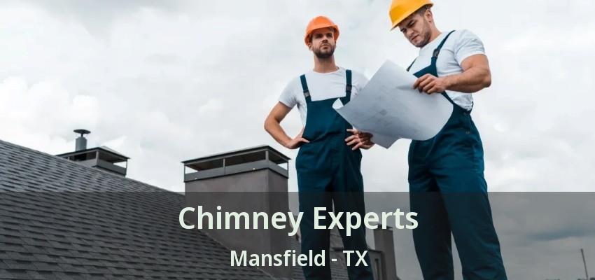 Chimney Experts Mansfield - TX