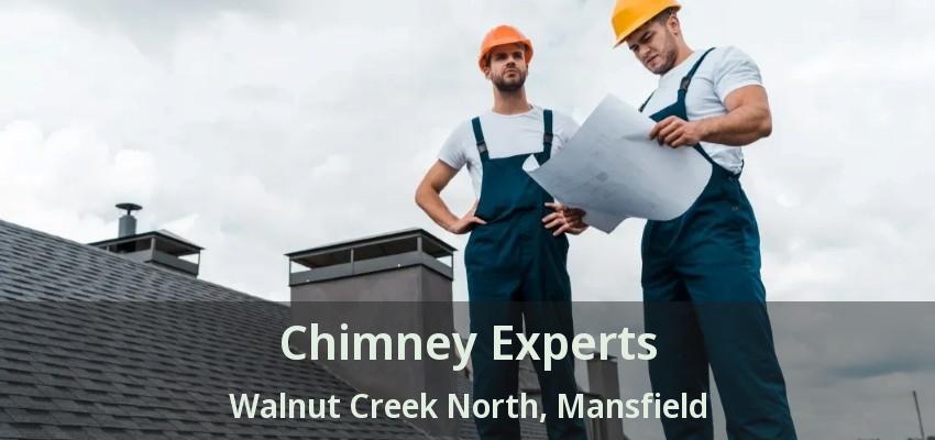 Chimney Experts Walnut Creek North, Mansfield - TX