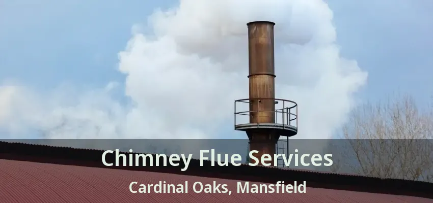 Chimney Flue Services Cardinal Oaks, Mansfield - TX