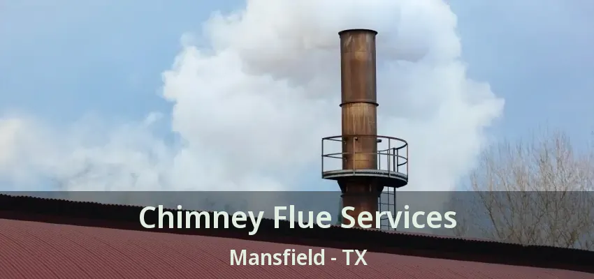 Chimney Flue Services Mansfield - TX