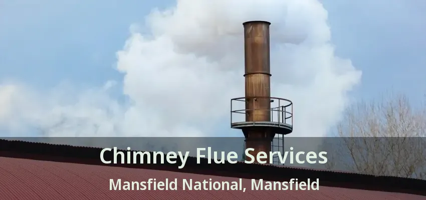 Chimney Flue Services Mansfield National, Mansfield - TX