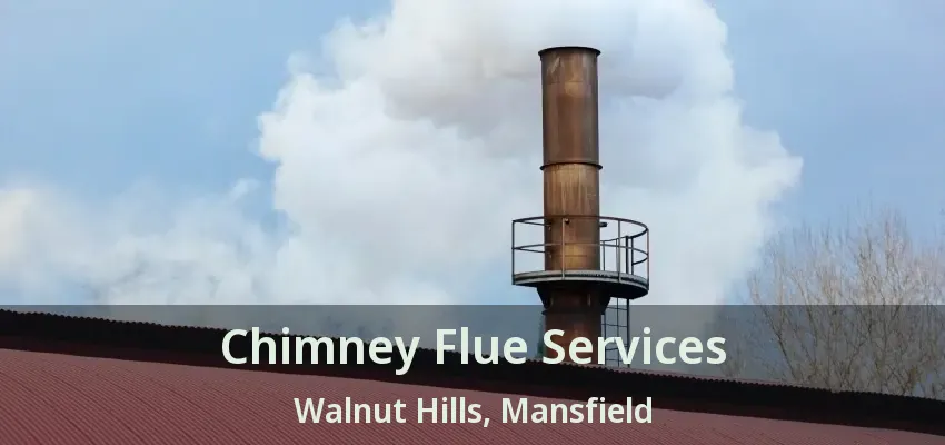 Chimney Flue Services Walnut Hills, Mansfield - TX