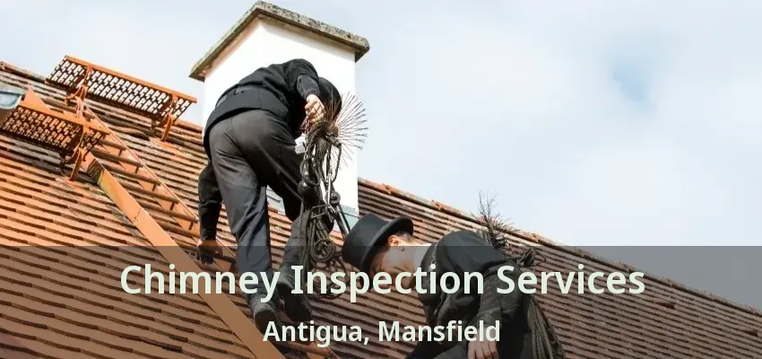 Chimney Inspection Services Antigua, Mansfield - TX