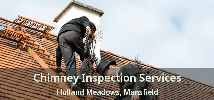 Chimney Inspection Services Holland Meadows, Mansfield - TX