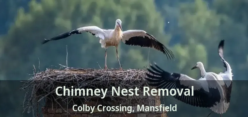 Chimney Nest Removal Colby Crossing, Mansfield - TX