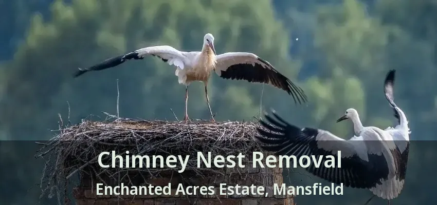 Chimney Nest Removal Enchanted Acres Estate, Mansfield - TX