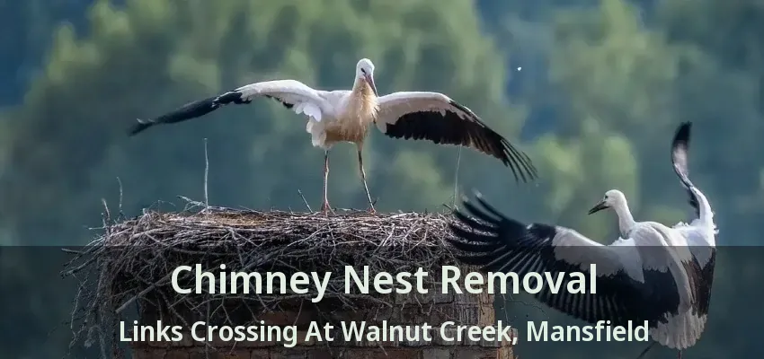 Chimney Nest Removal Links Crossing At Walnut Creek, Mansfield - TX