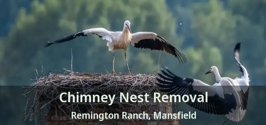 Chimney Nest Removal Remington Ranch, Mansfield - TX