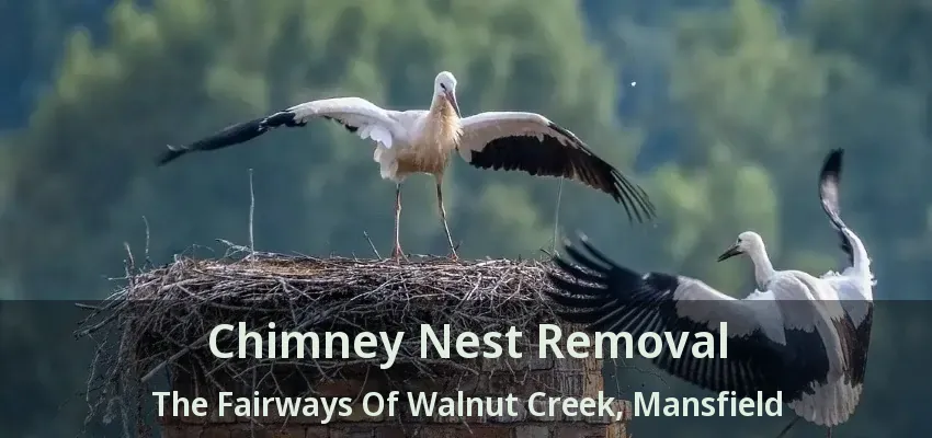 Chimney Nest Removal The Fairways Of Walnut Creek, Mansfield - TX