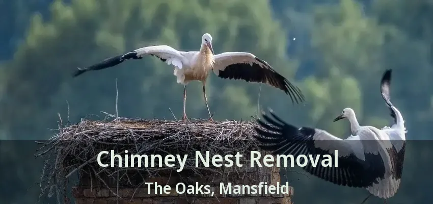 Chimney Nest Removal The Oaks, Mansfield - TX