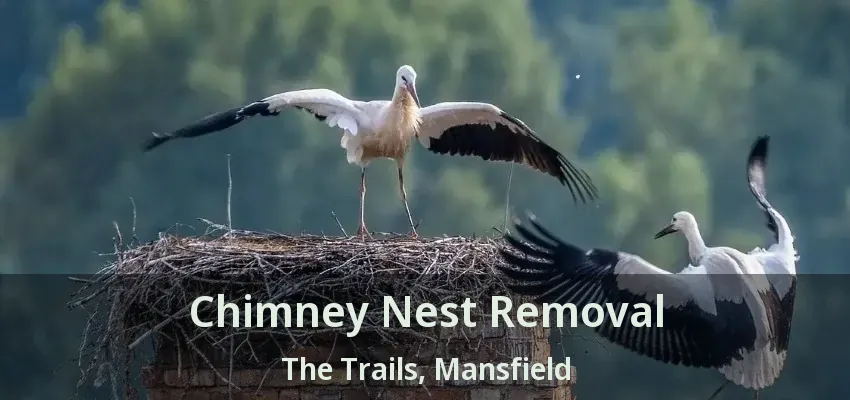 Chimney Nest Removal The Trails, Mansfield - TX