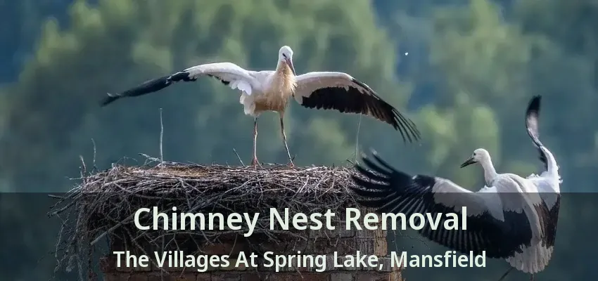 Chimney Nest Removal The Villages At Spring Lake, Mansfield - TX