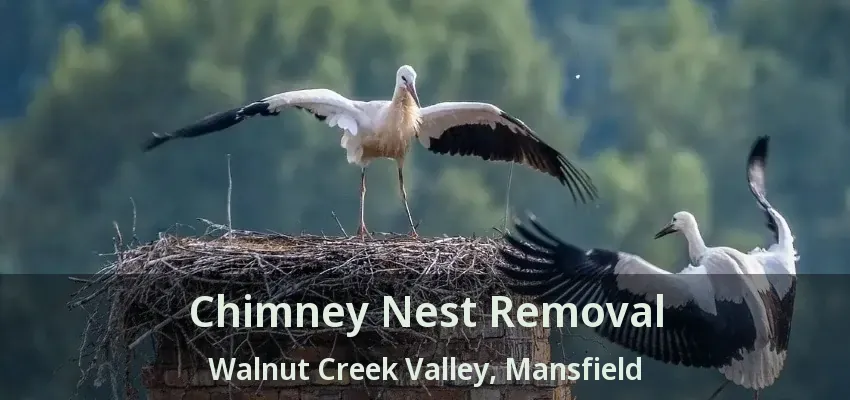 Chimney Nest Removal Walnut Creek Valley, Mansfield - TX