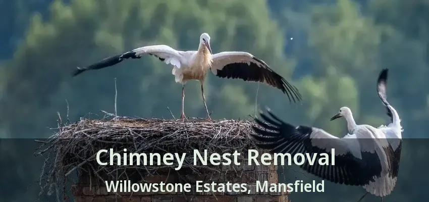 Chimney Nest Removal Willowstone Estates, Mansfield - TX