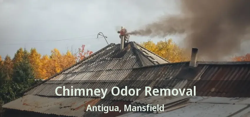 Chimney Odor Removal Antigua, Mansfield - TX
