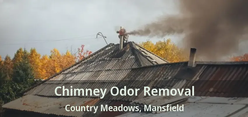Chimney Odor Removal Country Meadows, Mansfield - TX
