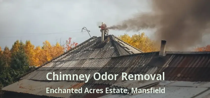 Chimney Odor Removal Enchanted Acres Estate, Mansfield - TX