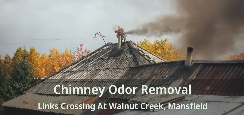 Chimney Odor Removal Links Crossing At Walnut Creek, Mansfield - TX