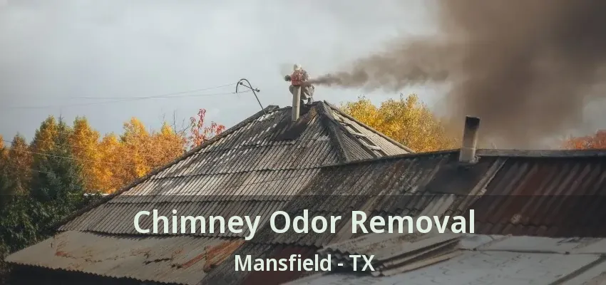 Chimney Odor Removal Mansfield - TX