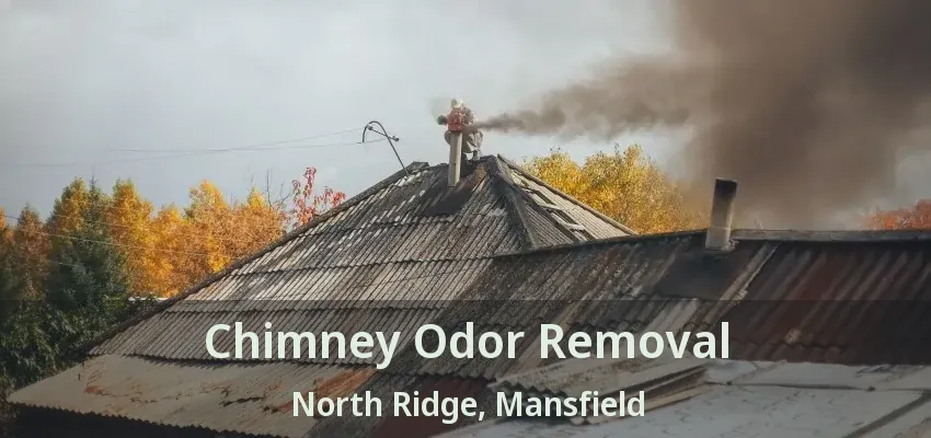 Chimney Odor Removal North Ridge, Mansfield - TX