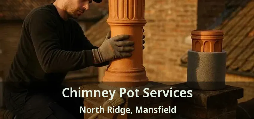 Chimney Pot Services North Ridge, Mansfield - TX