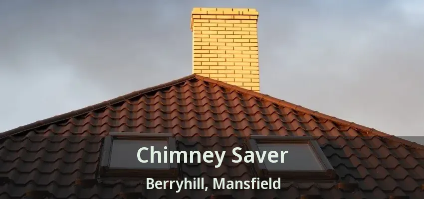 Chimney Saver Berryhill, Mansfield - TX